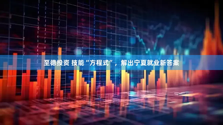 至德投资 技能“方程式”，解出宁夏就业新答案
