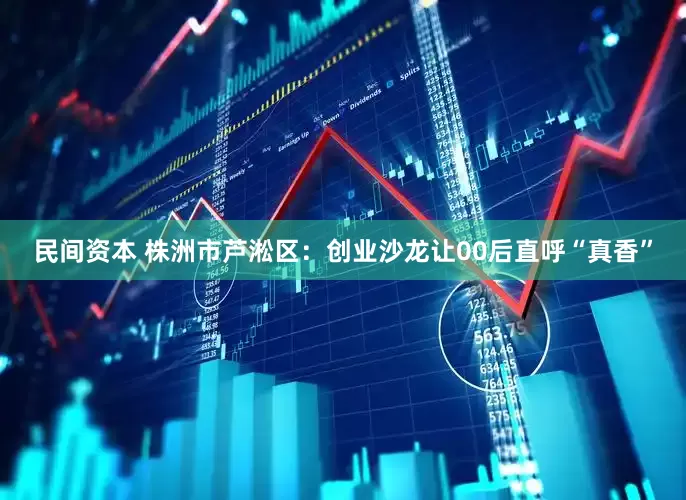 民间资本 株洲市芦淞区：创业沙龙让00后直呼“真香”