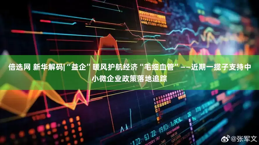 倍选网 新华解码|“益企”暖风护航经济“毛细血管”——近期一揽子支持中小微企业政策落地追踪