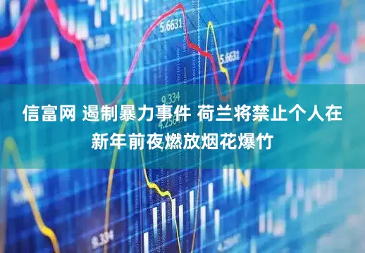 信富网 遏制暴力事件 荷兰将禁止个人在新年前夜燃放烟花爆竹
