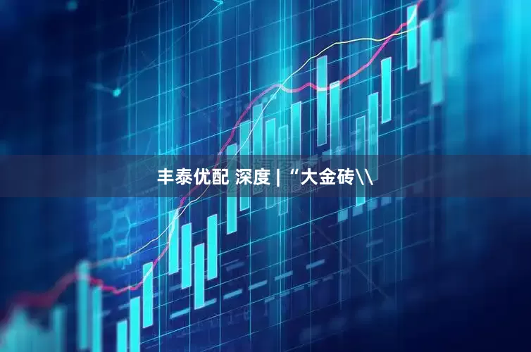 丰泰优配 深度 | “大金砖\