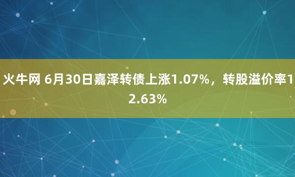 火牛网 6月30日嘉泽转债上涨1.07%，转股溢价率12.63%
