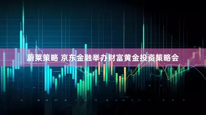 蔚莱策略 京东金融举办财富黄金投资策略会