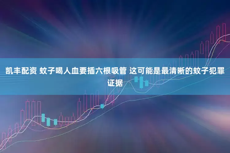 凯丰配资 蚊子喝人血要插六根吸管 这可能是最清晰的蚊子犯罪证据