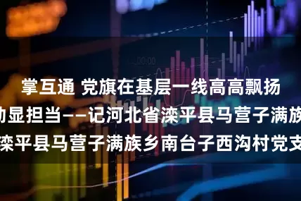 掌互通 党旗在基层一线高高飘扬｜闻“汛”而动显担当——记河北省滦平县马营子满族乡南台子西沟村党支部