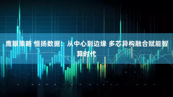 鹰眼策略 恒扬数据：从中心到边缘 多芯异构融合赋能智算时代